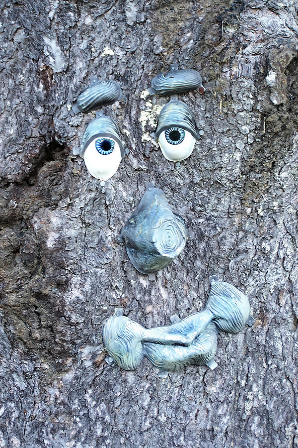 Tree Face Photograph by Jerry Griffin