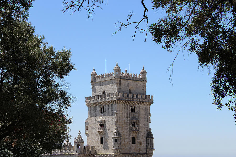 Tree framed view of Belem Tower Photograph by Fabiano Di Paolo