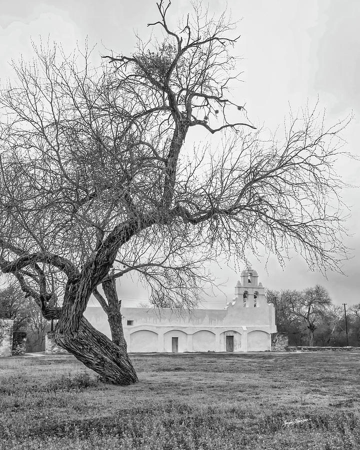 Tree Frames Mission Church Photograph by Jurgen Lorenzen
