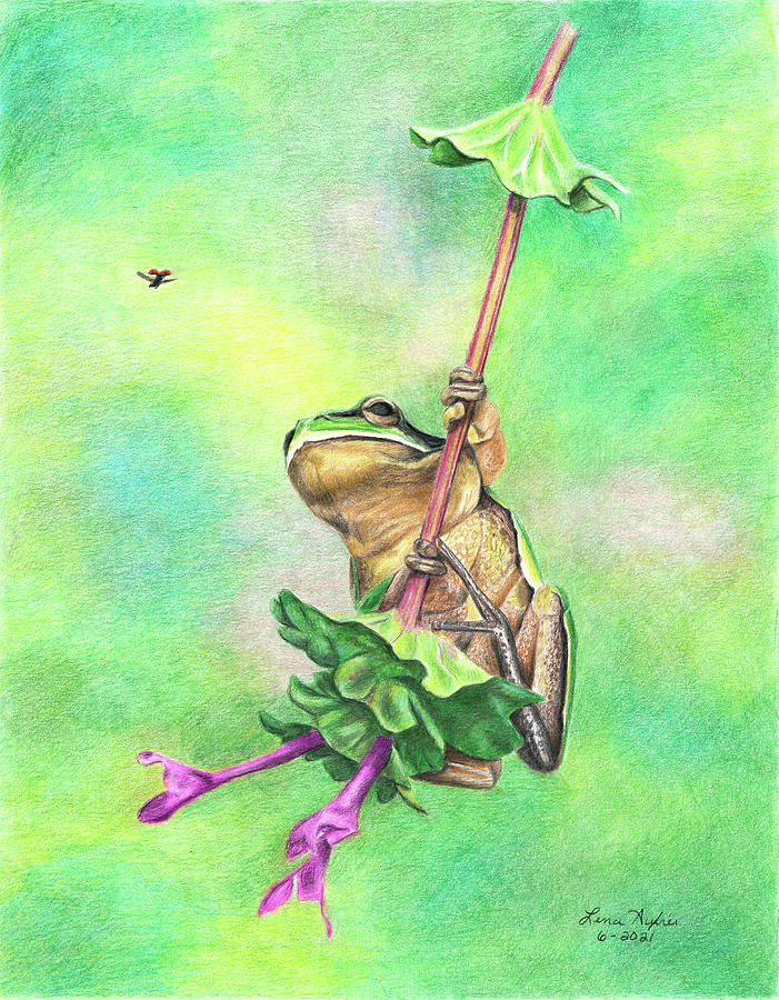 Tree Frog and Lady Bug Drawing by Lena Auxier