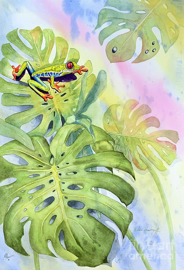Tree Frog on Monstera Leaf Painting by Hilda Vandergriff