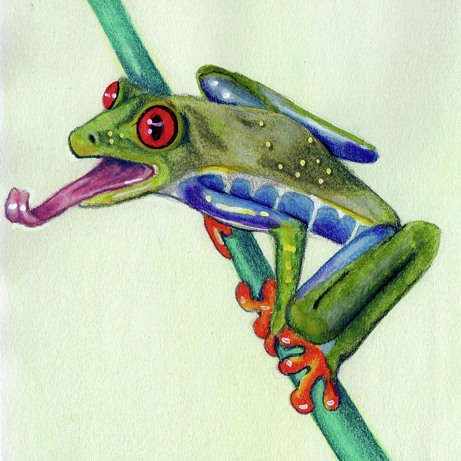 Tree Frog Study #4 Painting by Kristen Dorsey | Pixels