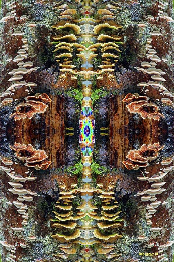 Tree Full of Life Double Mirrored Vertical 4x6 with Tie Dye Center Photograph by Ben Upham III