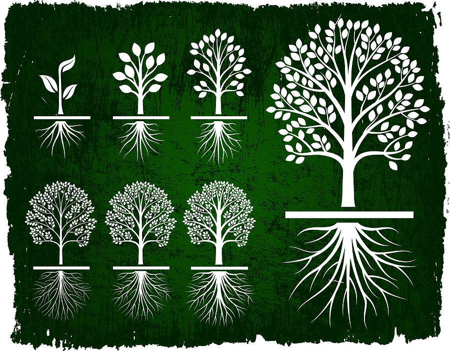 Tree Growing Green Grunge royalty free vector icon set Drawing by Bubaone
