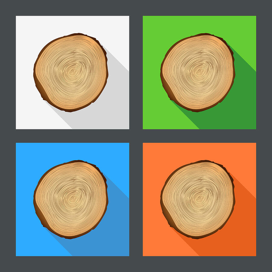 Tree growth rings flat icons. Drawing by Eriksvoboda