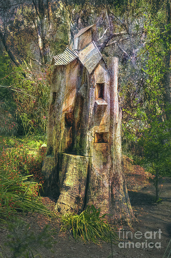 Tree House Photograph by Elaine Teague