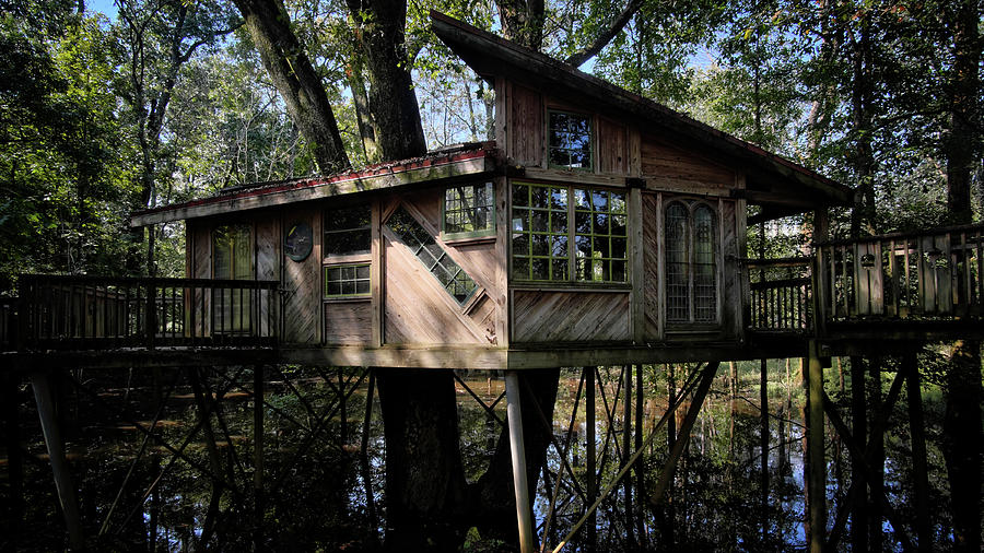 Tree House Photograph by George Taylor