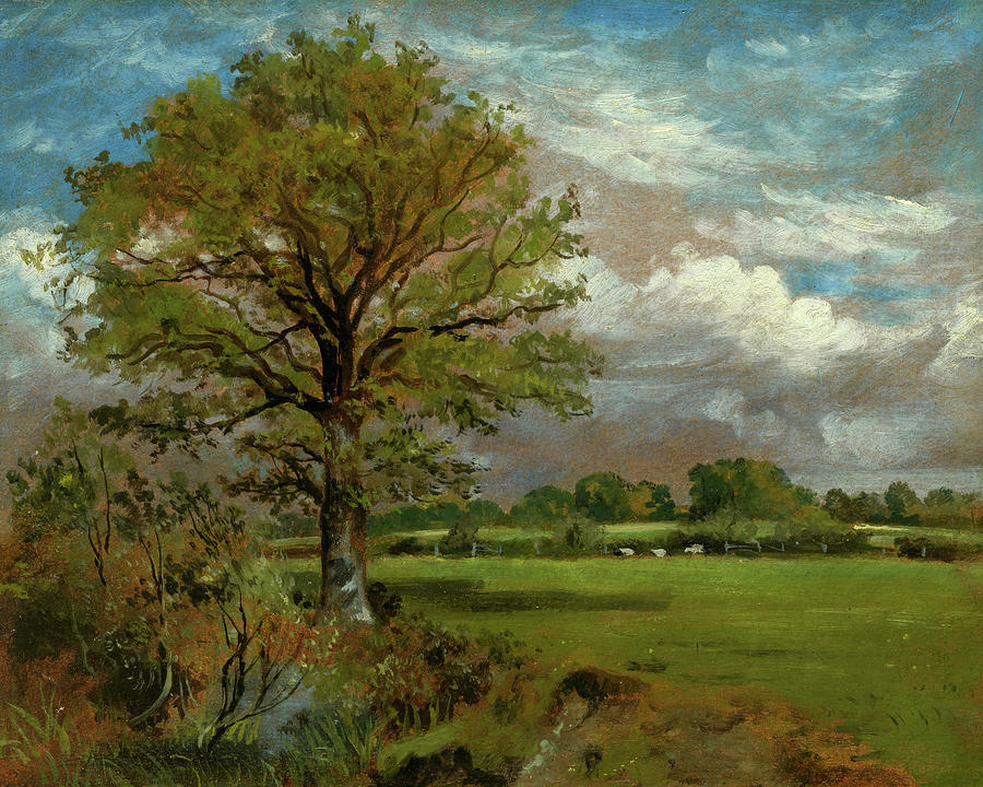 Constable Painting - Tree In A Meadow, 1850 by Lionel Bicknell Constable Constable Painting - Tree In A Meadow, 1850 by Lionel Bicknell Constable
