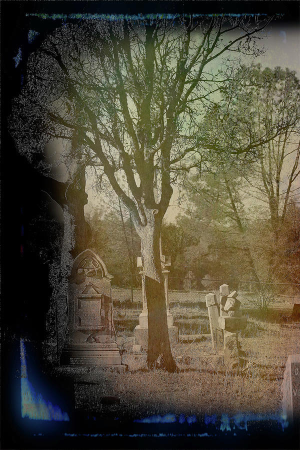 Tree in Cemetery Vintage Photograph by Cathy Anderson