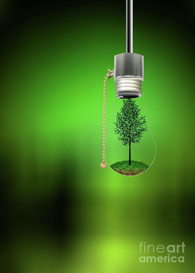 Tree in Hanging Bulb Digital Art by Bruce Rolff