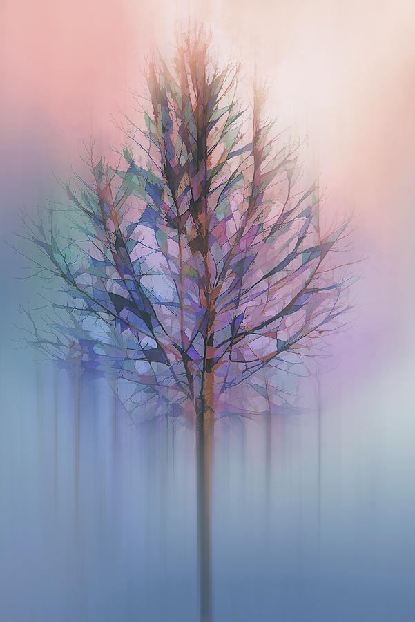 Tree in Pastel Fog Digital Art by Terry Davis