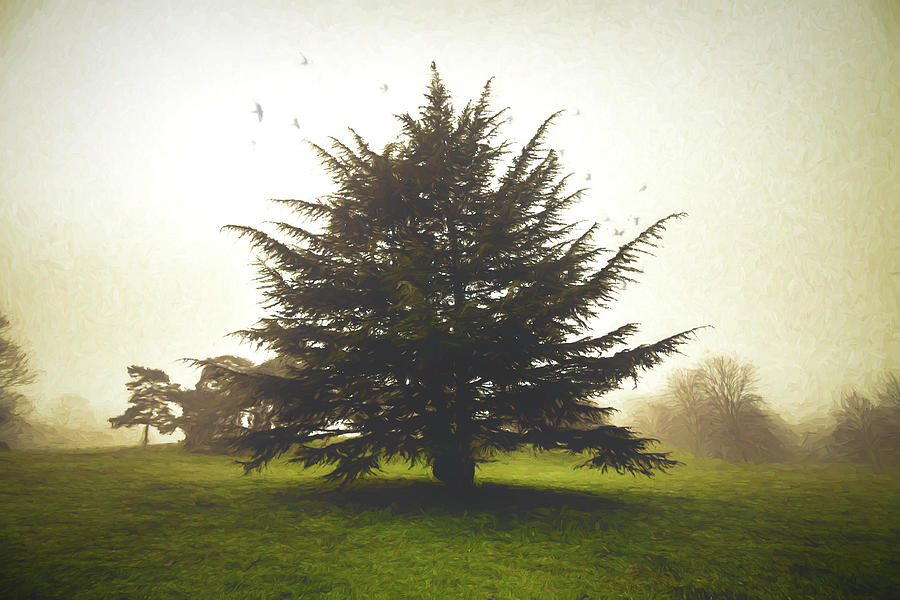 Tree in Silence Digital Art by LGP Imagery