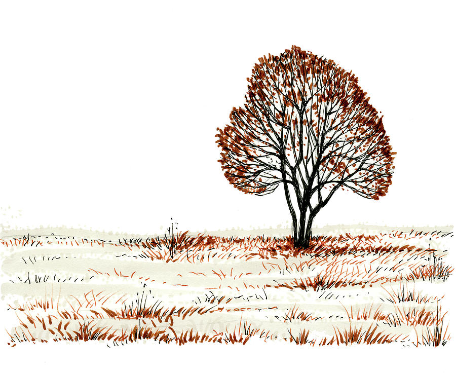 Maple tree, autumn leaf fall, Art Print | Barewalls Posters & Prints |  bwc3194507