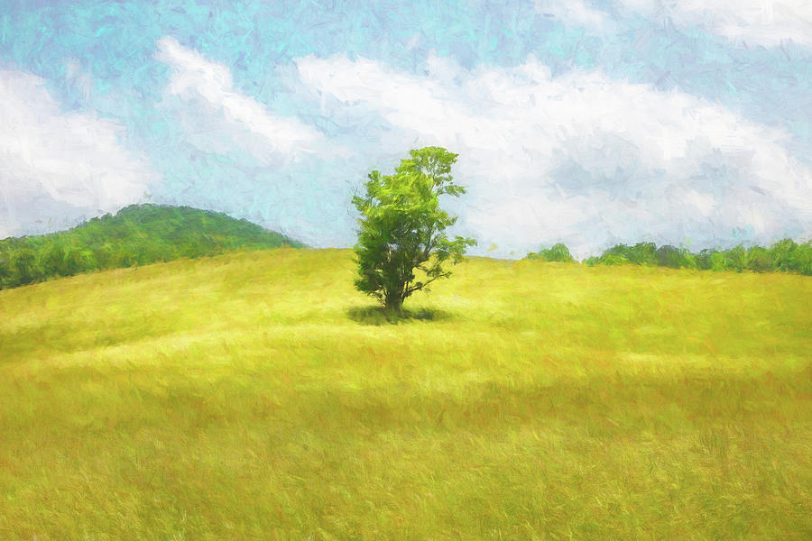 Tree in the Middle Alone Watercolor Painting Photograph by Debra and Dave Vanderlaan