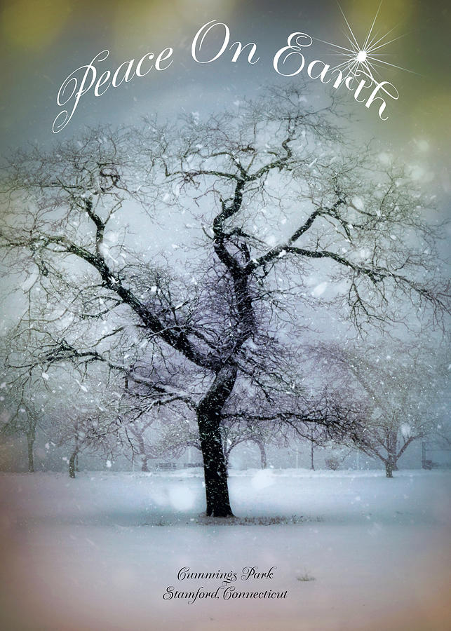 Tree in the Snow Digital Art by Cordia Murphy