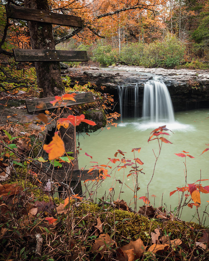 Tree Ladder Over Falling Water Falls - Arkansas Photograph by Gregory Ballos Tree Ladder Over Falling Water Falls - Arkansas Photograph by Gregory Ballos