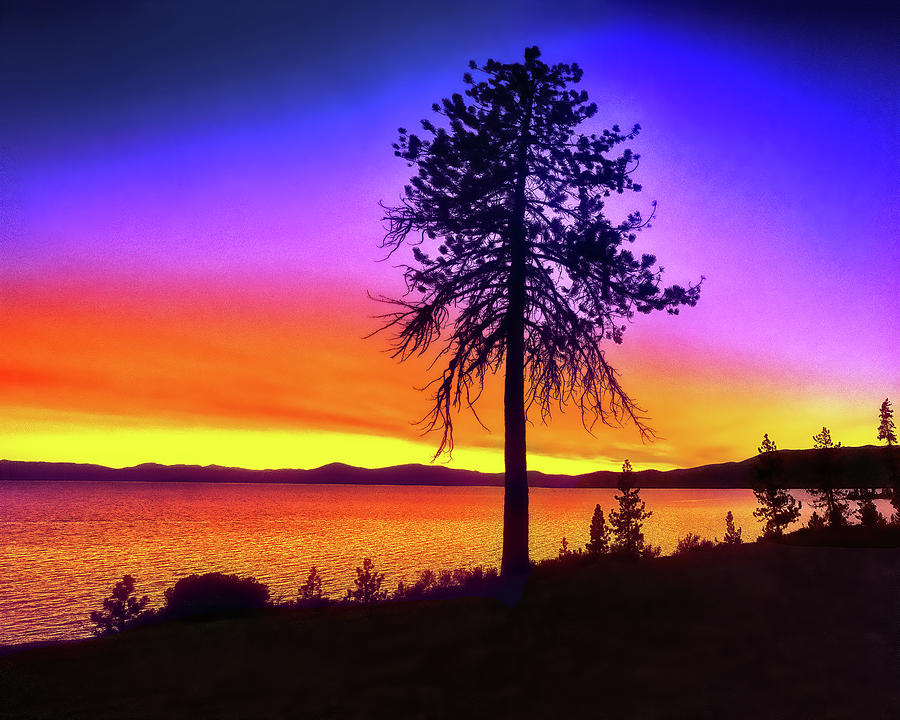 TREE LAKE SUNSET, Lake Tahoe, Nevada Photograph by Don Schimmel