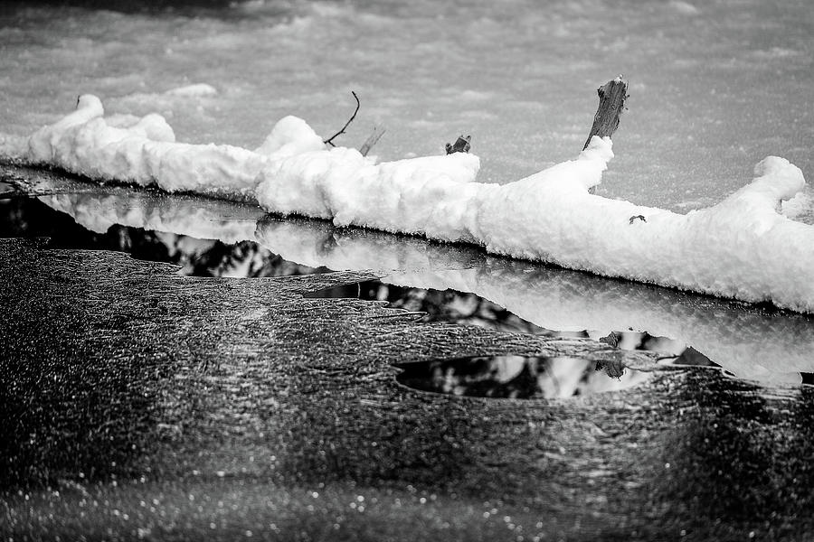Tree Limb On The Ice, Monochrome Photograph by Jeff Sinon