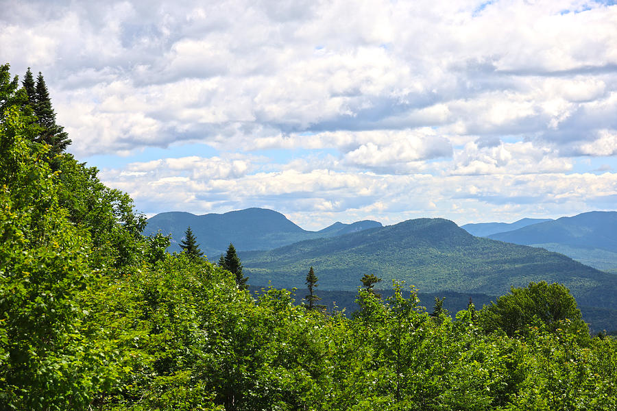 Tree Lined Mountain Tops at the White Mountains Photograph by Lisa Cuipa