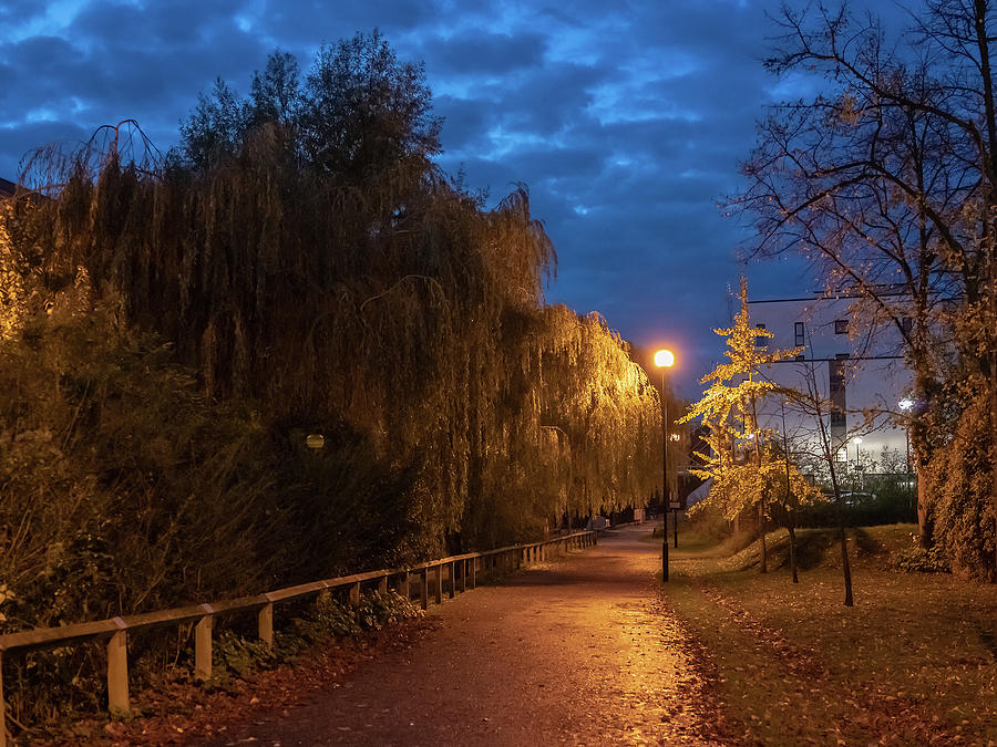 Tree lined path along the River Wensum, Norwich Photograph by Chris Yaxley