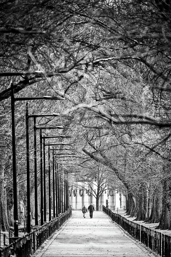 Tree Lined Path on the National Mall - DC Photograph by Stuart Litoff