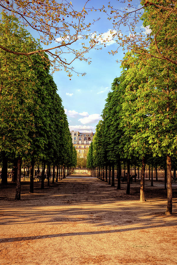 Tree Lined Promenade In Luxembourg Gardens, Paris Photograph by Maria Angelica Maira