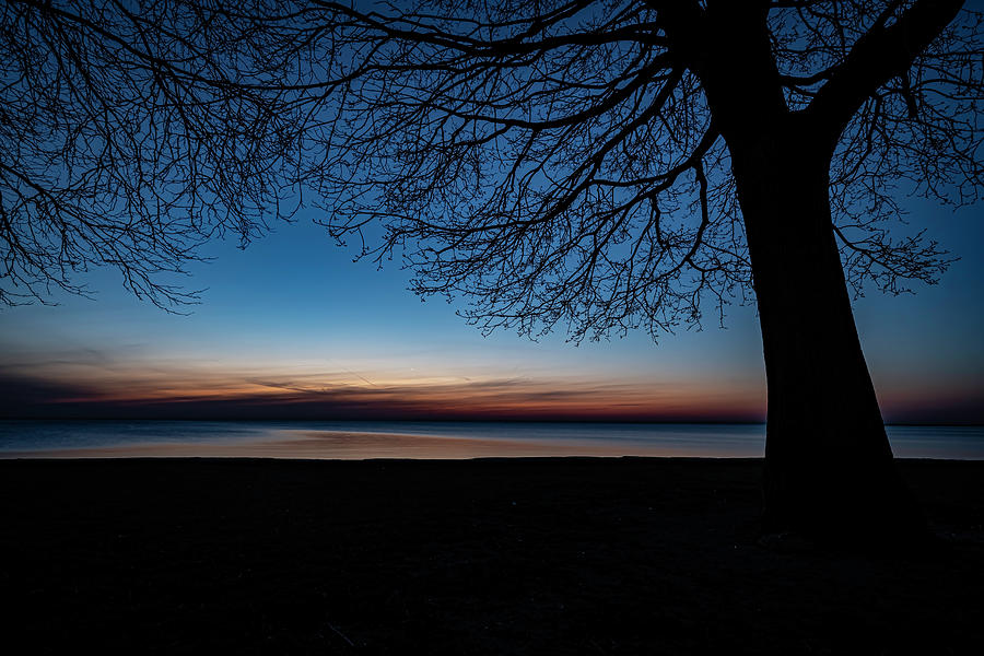 Tree lines though dawn sky Photograph by Sven Brogren