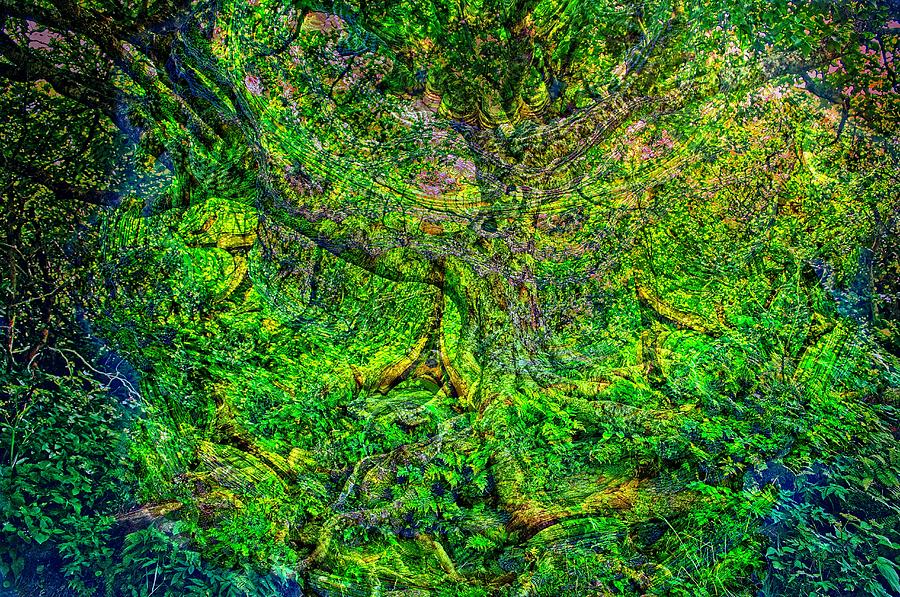 Tree Moment Digital Art by Allen Nice-Webb