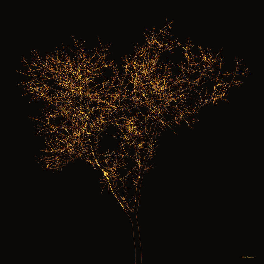 Tree Digital Art - Tree of Gold by Wim Lanclus