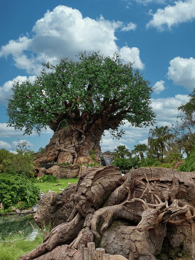 Orlando Photograph - Tree of Life Animal Kingdom by Roger Lighterness