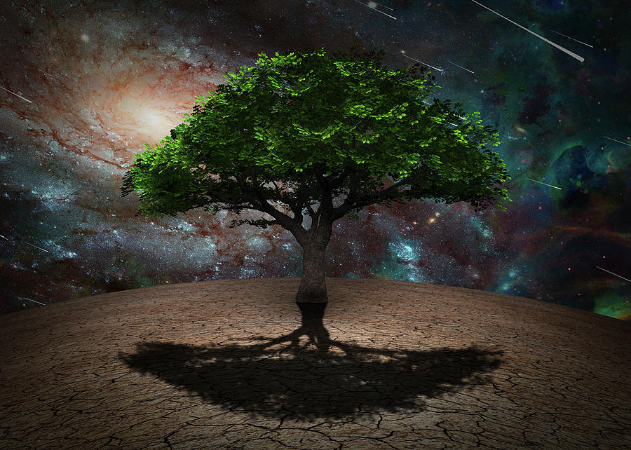Tree of Life Digital Art by Bruce Rolff