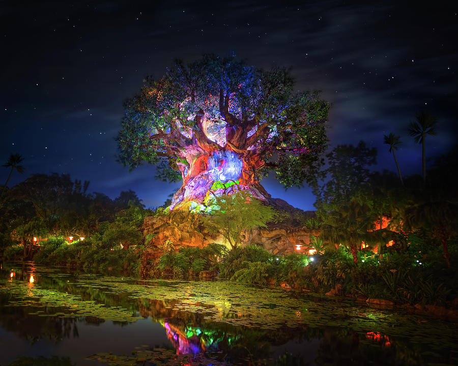 Tree of Life in Disney's Animal Kingdom Photograph by Mark Andrew Thomas -  Pixels Merch