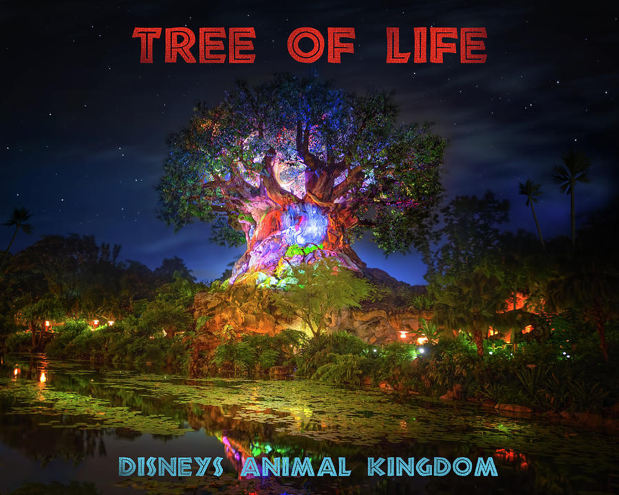 Tree of Life Poster Photograph by Mark Andrew Thomas