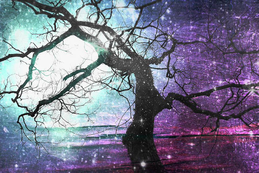 Tree of Life Digital Art by Shawna Rowe