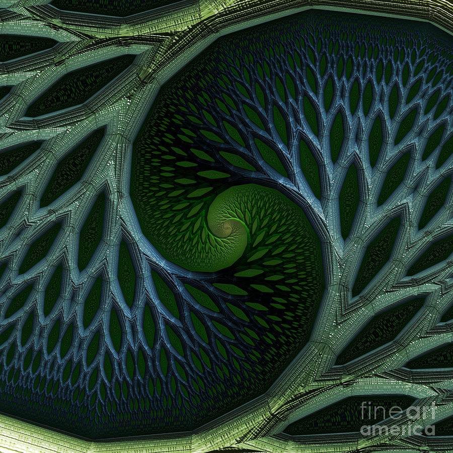 Tree Of Life Spiral Fractal  Digital Art by Rachel Hannah