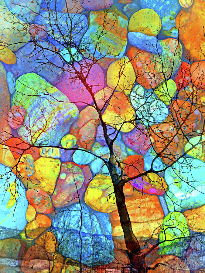 Tree of the Colourful River Stones of Summer Digital Art by Tara Turner ...