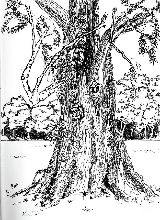 Tree Of Thought Drawing by Eileen Kelly
