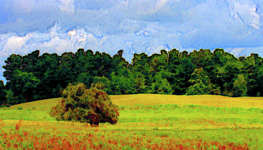 Trees On The Hill  Digital Art by Lyle Crump