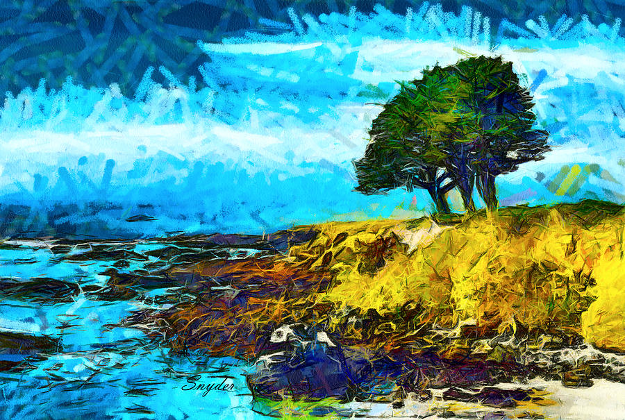 Tree On the Point Cayucos Abstract Photograph by Floyd Snyder