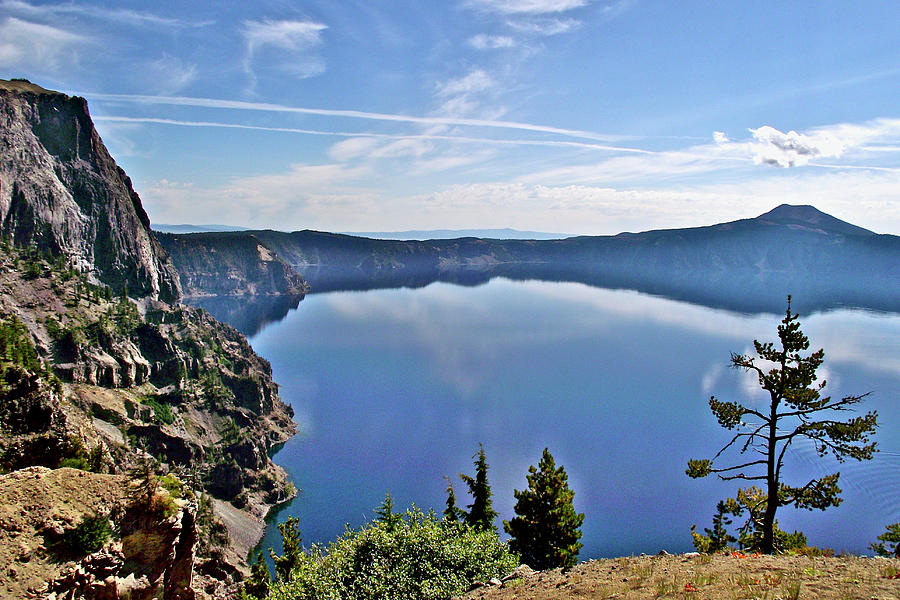 Tree over Crater Lake near North Junction in Crater Lake National Park ...