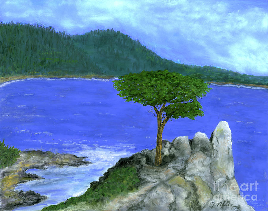 Tree Overlooking the Bay Painting by Ginny Neece