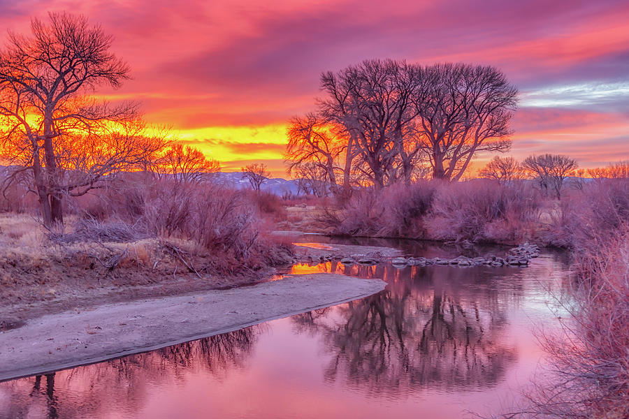 Tree Reflection at Sunrise on Carson River Photograph by Marc Crumpler