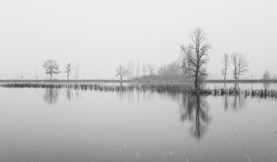 Tree Reflection On Winter Lake Photograph by Martin Vorel Minimalist Photography