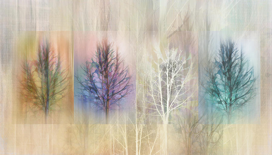 Tree Seasons Digital Art by Terry Davis