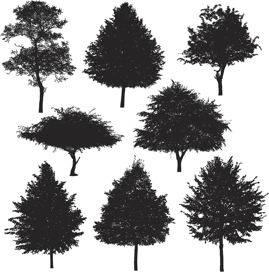 Tree silhouette collection 3 Drawing by Ace_Create