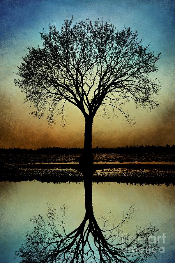 Tree Silhouette Design 178 Digital Art by Lucie Dumas