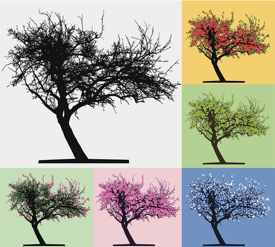 Tree silhouette, Four seasons Drawing by Dra_schwartz