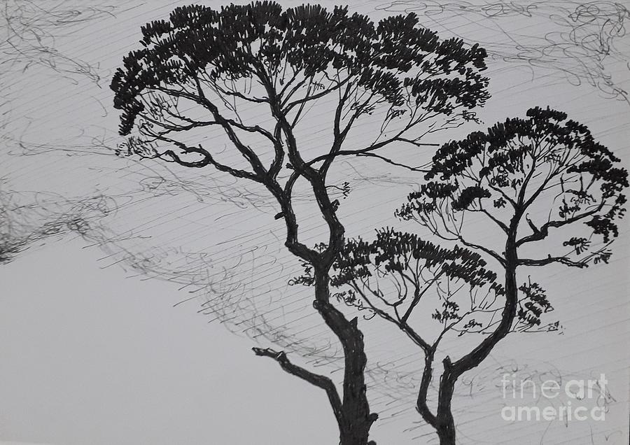Tree silhouette, Silhouette sketch, Tree drawing