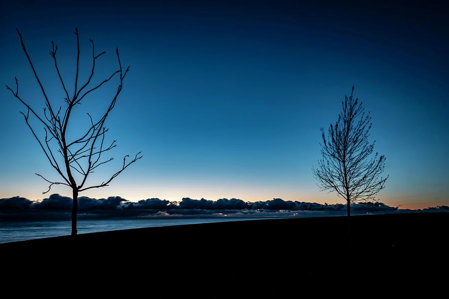 Sunset Photograph - Tree Silhouettes and blue negative space by Sven Brogren