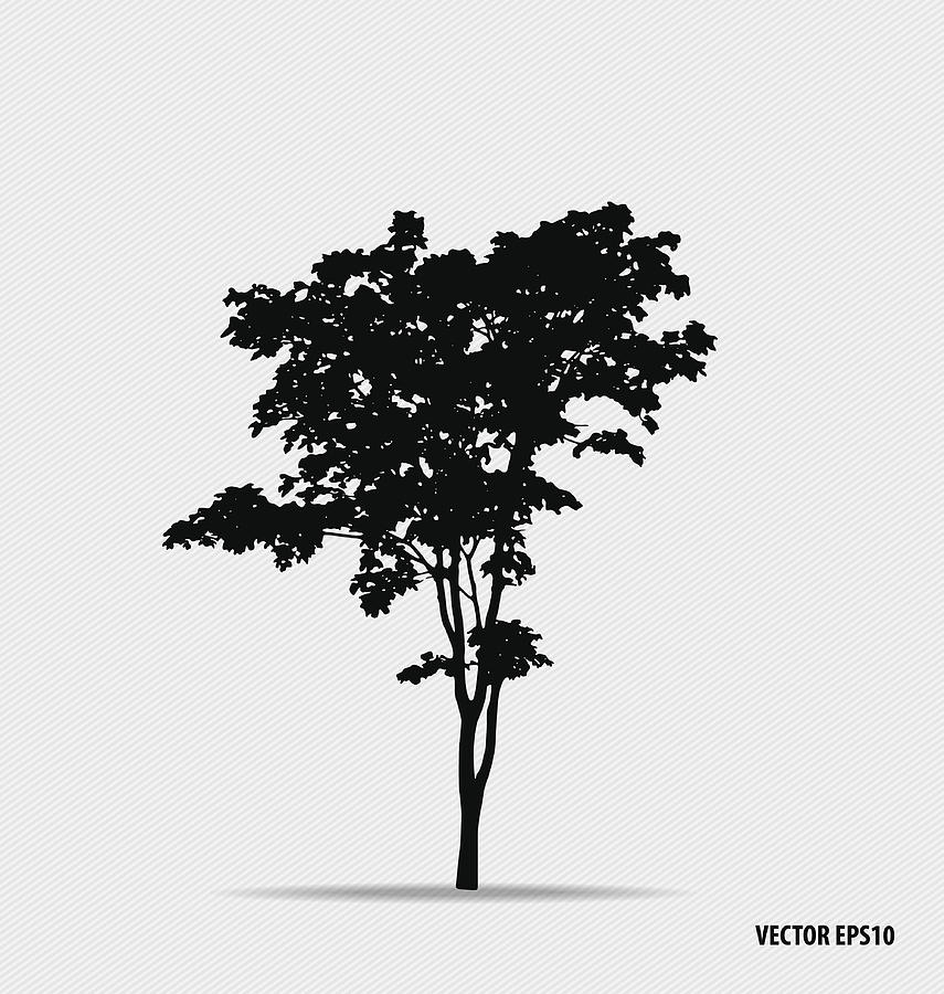 Tree silhouettes. Vector illustration. Drawing by Jannoon028